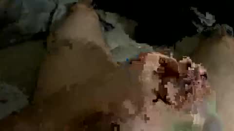 Snapshot of orgasaman2169 chatting on 19, 2, 2025 orgasaman2169 online show from 19, 2, 2025