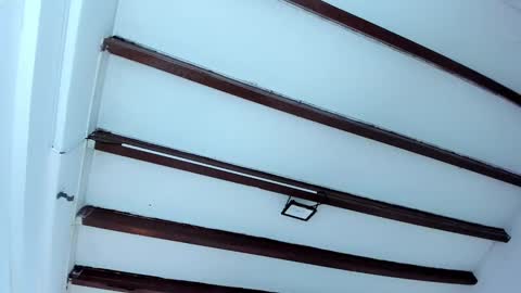 Snapshot of oriana_guzman chatting on 6, 2, 2025 Miss Guzman  online show from 6, 2, 2025