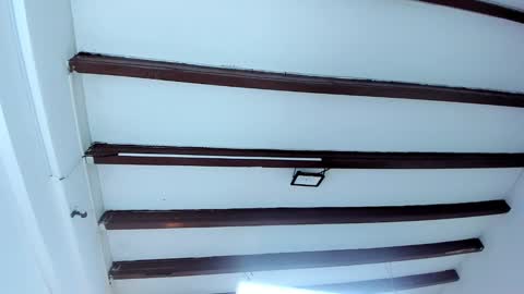 Snapshot of oriana_guzman chatting on 9, 2, 2025 Miss Guzman  online show from 9, 2, 2025