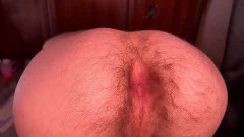 origamicat online show from 13, 10, 2025