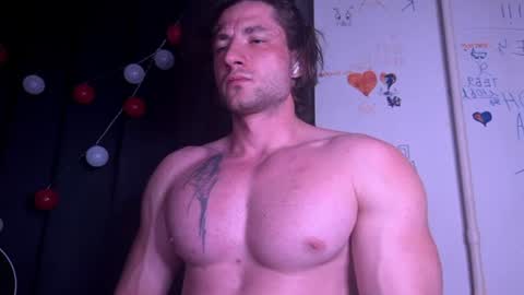 origamicat online show from 23, 7, 2026