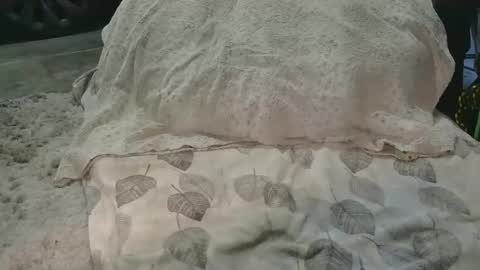 Snapshot of originalcali95 chatting on 15, 3, 2026 originalcali95 online show from 15, 3, 2026