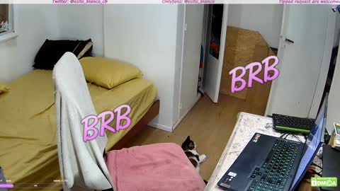 Snapshot of osito_blanco chatting on 30, 1, 2025 Osito Blanco online show from 30, 1, 2025