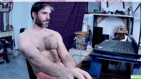 Snapshot of osito_blanco chatting on 8, 5, 2026 Osito Blanco online show from 8, 5, 2026