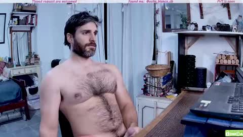 Snapshot of osito_blanco chatting on 12, 5, 2026 Osito Blanco online show from 12, 5, 2026