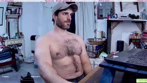 Snapshot of osito_blanco chatting on 20, 5, 2026 Osito Blanco online show from 20, 5, 2026