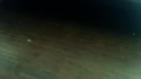 Snapshot of osyryx chatting on 5, 3, 2026 Lucas online show from 5, 3, 2026