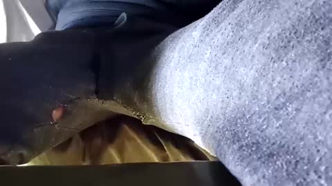 outlandish880 online show from 2, 12, 2024