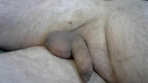 ovid77 online show from 16, 10, 2025