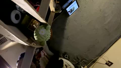 CoCreatorBlancki online show from 3, 1, 2025