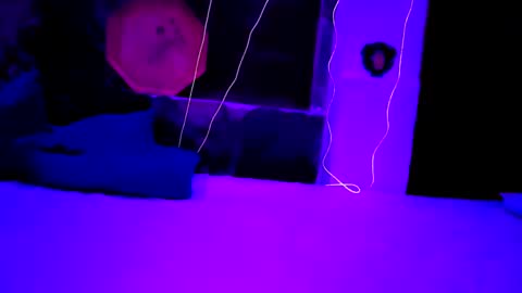 pablouyu online show from 22, 12, 2024