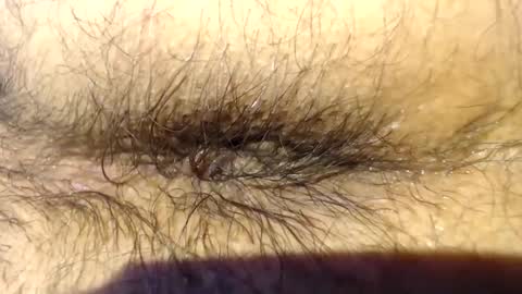 pack2 online show from 1, 3, 2026