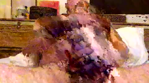 Snapshot of packinthebeef chatting on 17, 6, 2026 jack online show from 17, 6, 2026