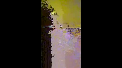 Mr. Pac online show from 14, 12, 2025