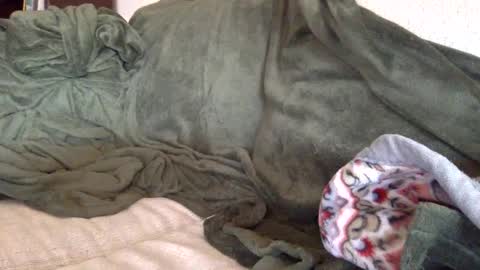 Snapshot of paintdude424 chatting on 26, 9, 2025 paintdude424 online show from 26, 9, 2025