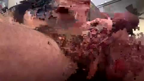 Rothkohammer online show from 10, 2, 2025