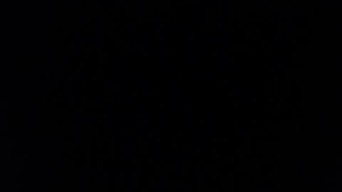 paiperhalliwey online show from 7, 2, 2025