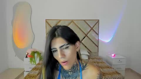 palechor online show from 28, 11, 2025