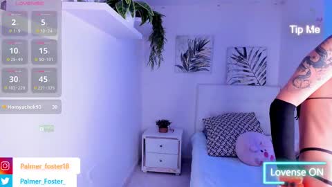 Palmer  online show from 1, 3, 2025