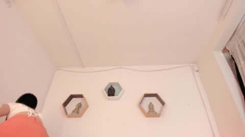 Snapshot of paloma_victory chatting on 21, 1, 2025 Paloma  online show from 21, 1, 2025