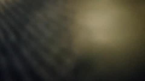 pals199301 online show from 23, 11, 2025