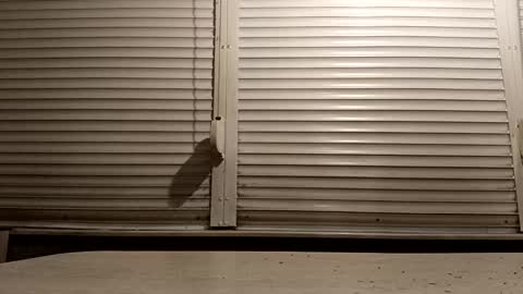 Snapshot of pamid215 chatting on 4, 2, 2026 angel hris online show from 4, 2, 2026