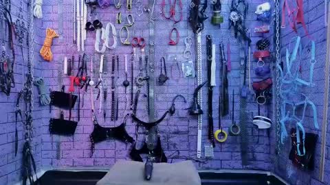 PandoraNez online show from 2, 3, 2025