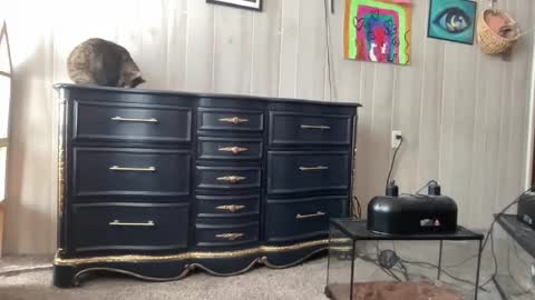 Pantiesofthefae online show from 20, 1, 2025