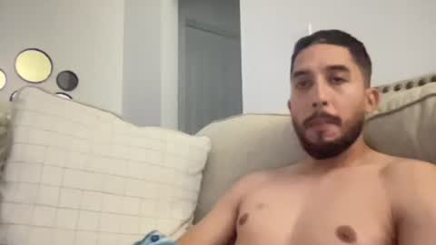 papicubano_guapo23cm online show from 24, 7, 2026