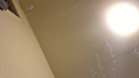 Papij online show from 13, 1, 2026