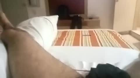 papitote32cm online show from 21, 4, 2026