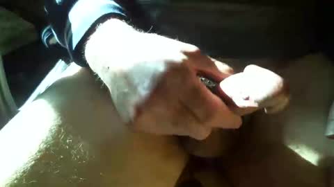 Shmoo online show from 26, 2, 2026