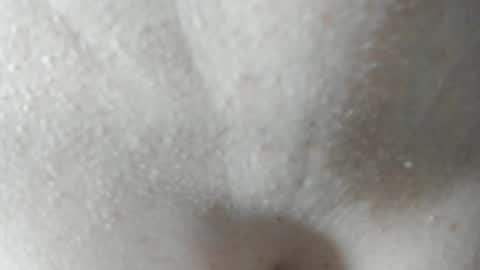 Snapshot of parejacachonda chatting on 7, 12, 2024 sara and andreu online show from 7, 12, 2024