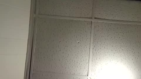 Snapshot of pato0008 chatting on 19, 11, 2025 JD online show from 19, 11, 2025