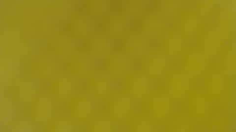 Snapshot of patty_squirt87 chatting on 19, 2, 2025 patty squirt87 online show from 19, 2, 2025