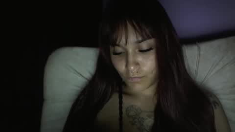 Pau online show from 17, 1, 2026