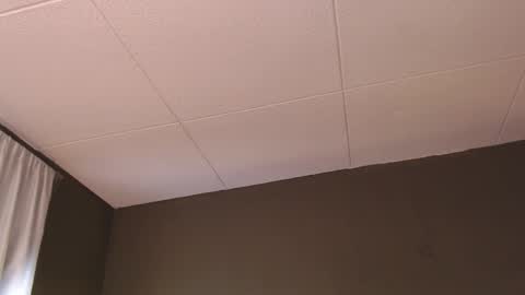 Paul online show from 5, 12, 2025