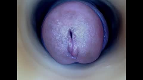 Paula 18 Aninhos online show from 12, 1, 2025