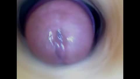 Paula 18 Aninhos online show from 13, 1, 2025