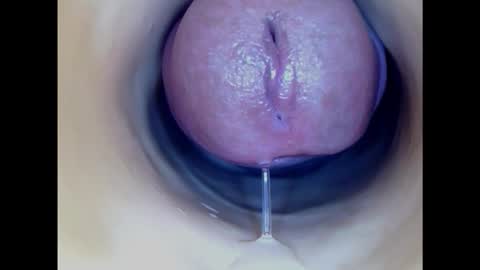 Paula 18 Aninhos online show from 13, 1, 2025