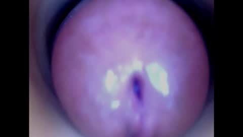 Paula 18 Aninhos online show from 15, 1, 2025