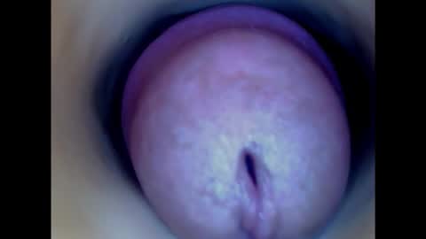 Paula 18 Aninhos online show from 15, 1, 2025