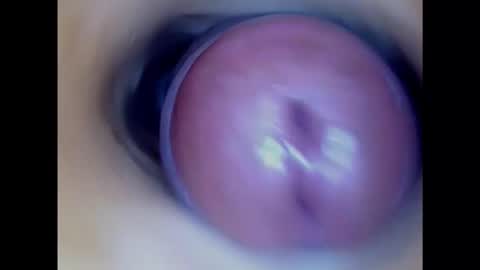 Paula 18 Aninhos online show from 17, 1, 2025