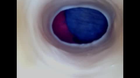 Paula 18 Aninhos online show from 18, 1, 2025
