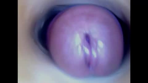 Paula 18 Aninhos online show from 23, 1, 2025