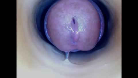 Paula 18 Aninhos online show from 24, 1, 2025