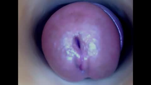 Paula 18 Aninhos online show from 26, 1, 2025
