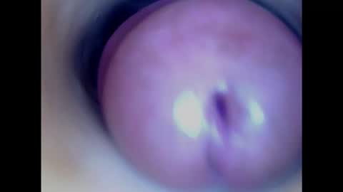 Paula 18 Aninhos online show from 29, 1, 2025