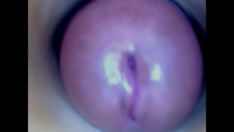 Paula 18 Aninhos online show from 29, 1, 2025