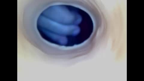 Paula 18 Aninhos online show from 2, 11, 2025